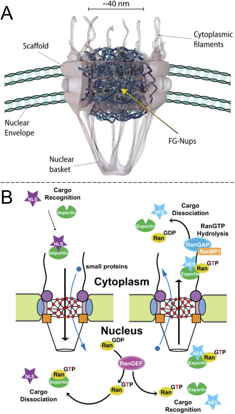 Fig. 1