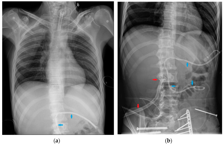 Figure 40