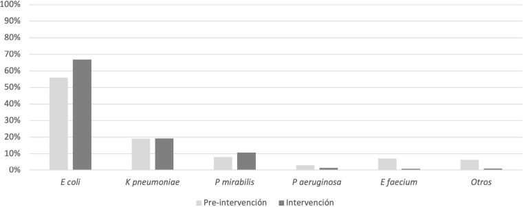 Figura 1