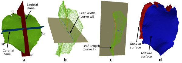 Figure 5 