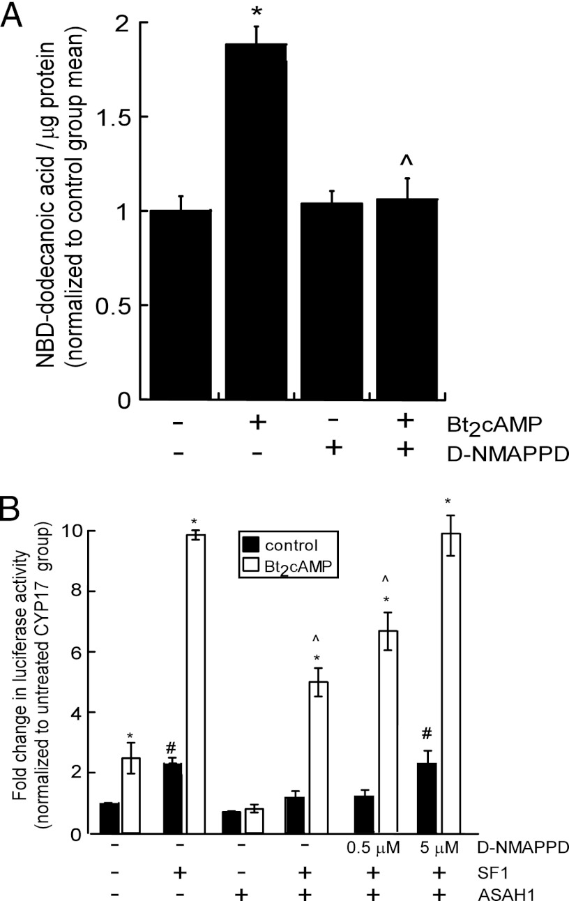 Fig 5