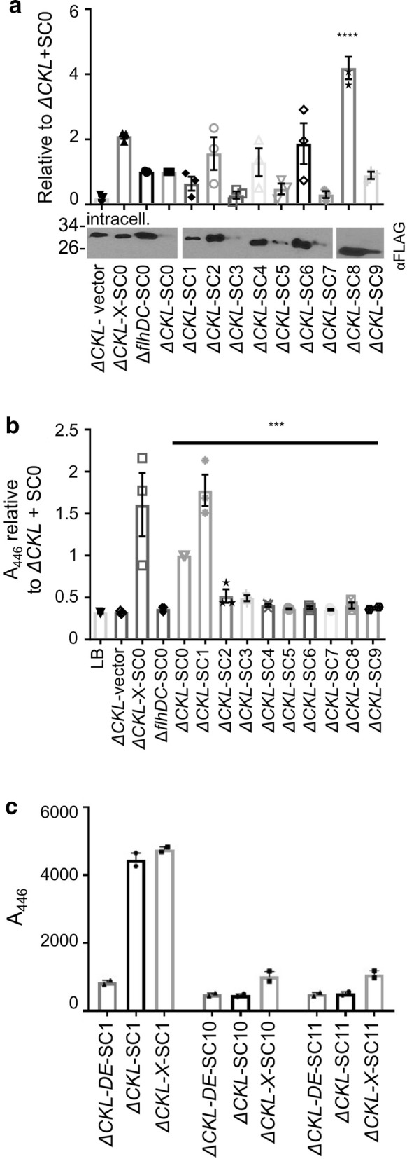 Fig. 7