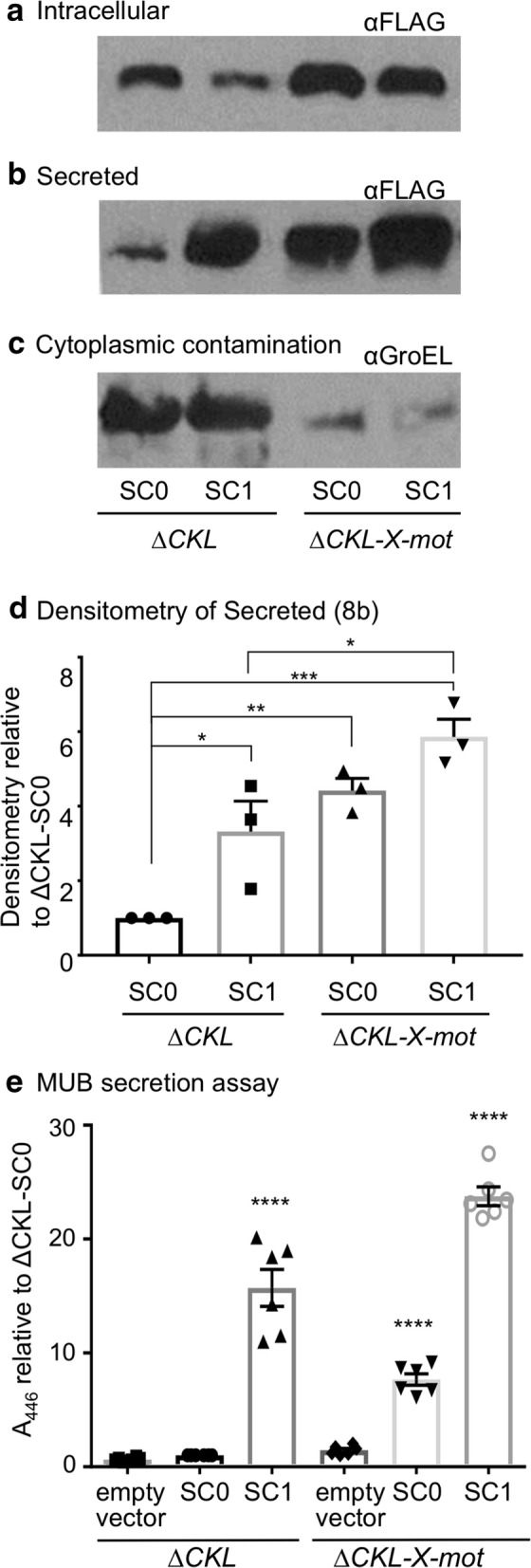 Fig. 8