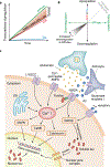 Fig. 4 |