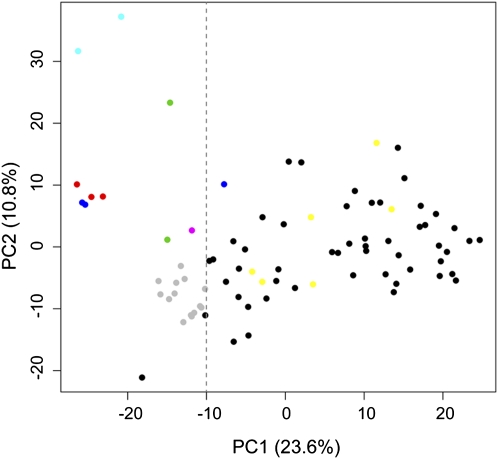 Figure 7.