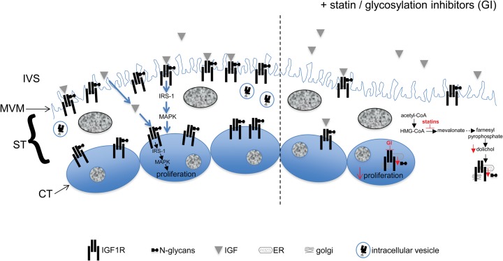 Figure 5