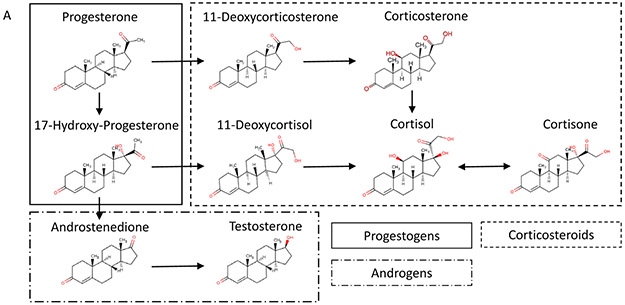 Figure 3: