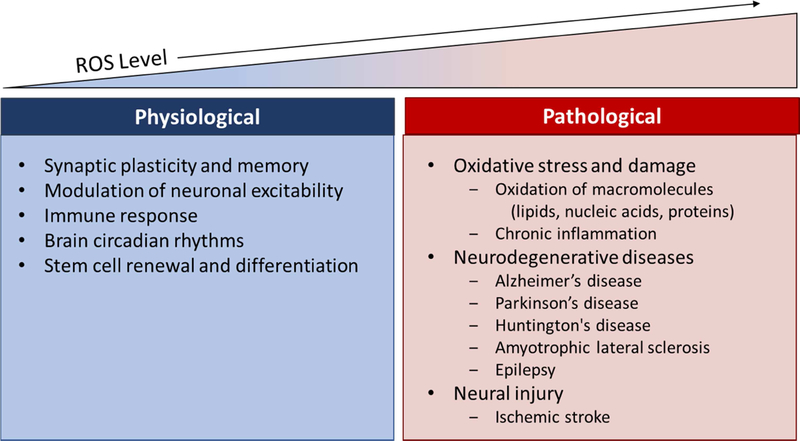 Figure 1: