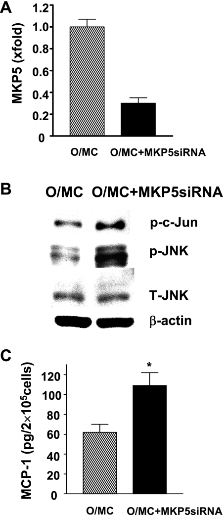 Fig. 8.