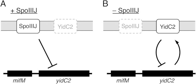 FIG 6