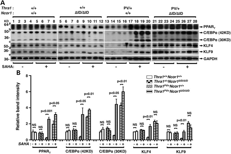 Figure 4.