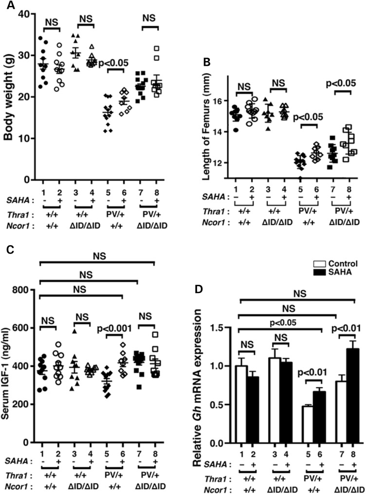 Figure 2.