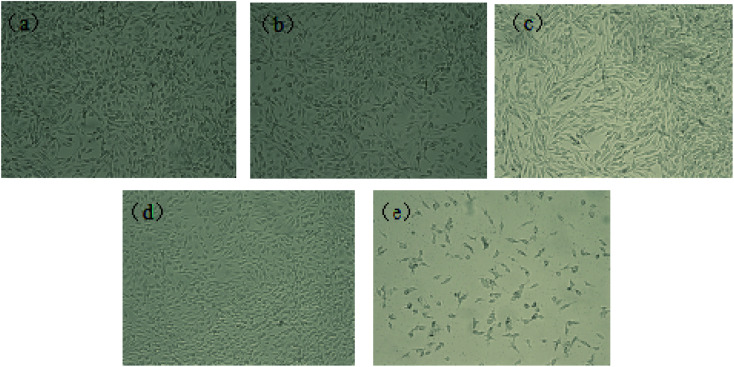 Fig. 13