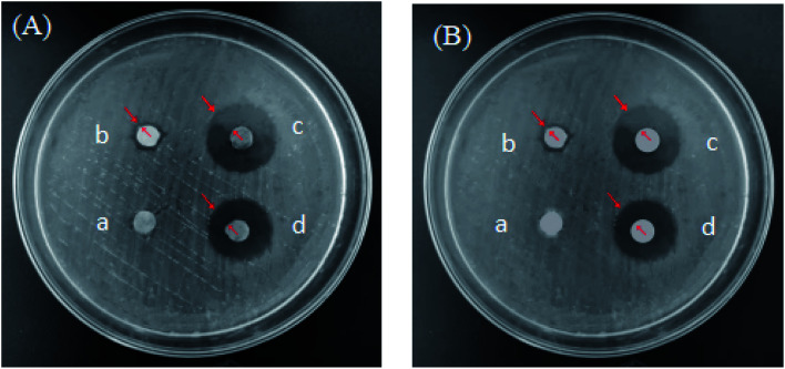 Fig. 16