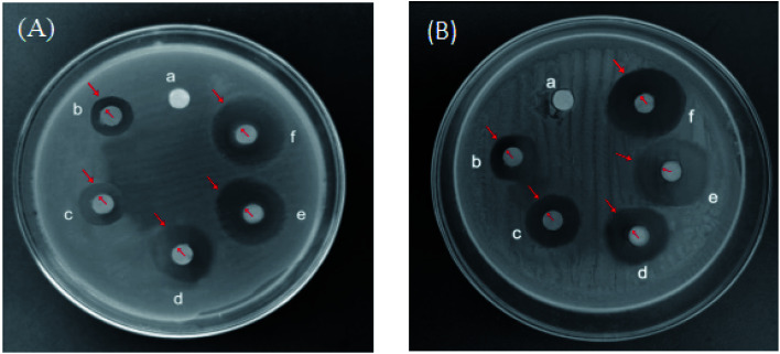 Fig. 15