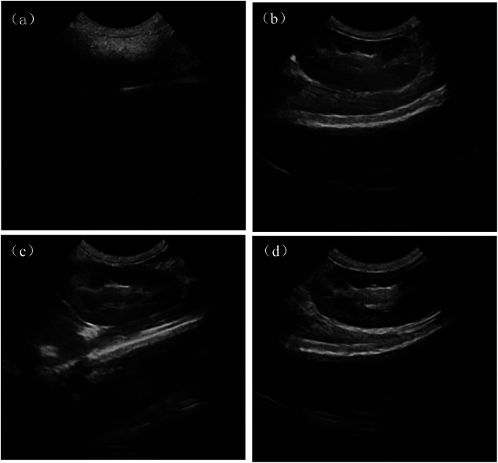 Fig. 7