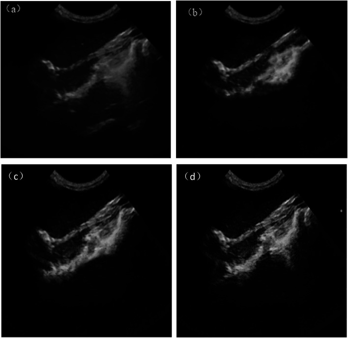 Fig. 8