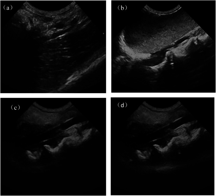 Fig. 9