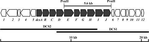 FIG. 1.