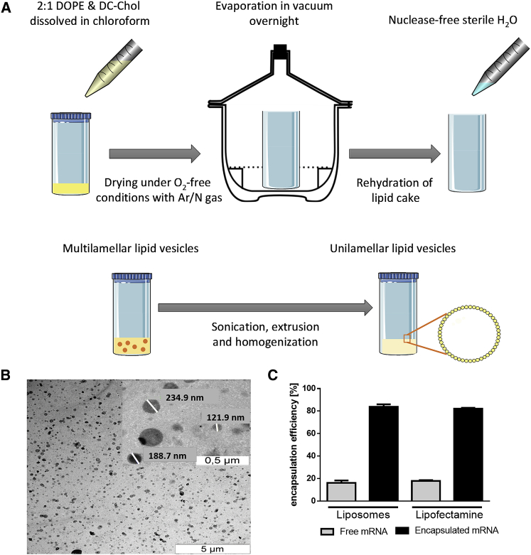 Figure 1