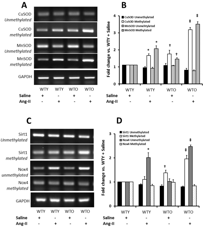 Fig. 11