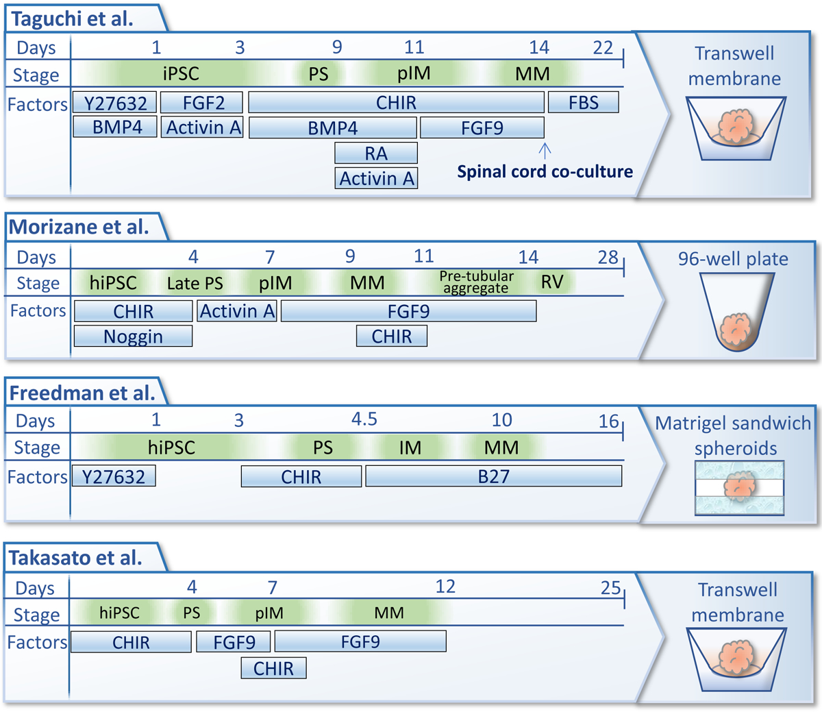 Figure 2: