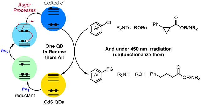 graphic file with name nihms-1820736-f0001.jpg