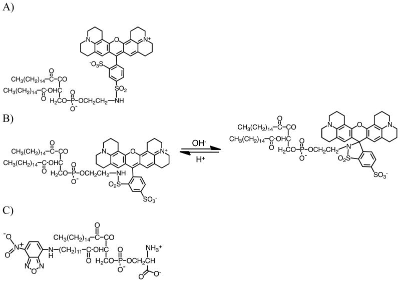 Fig. 4