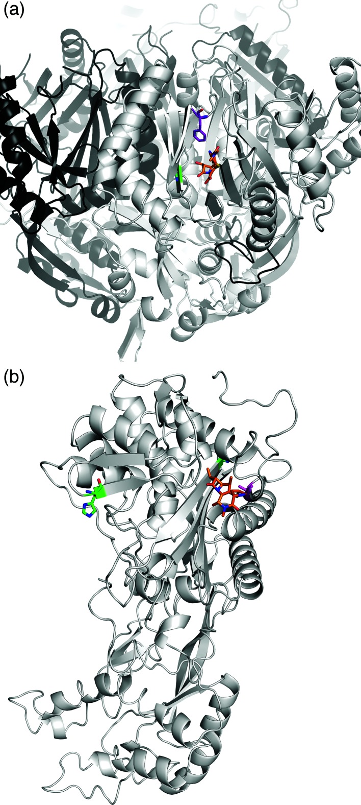 Fig. 3.