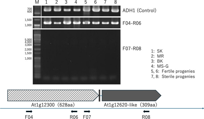 Fig. 3