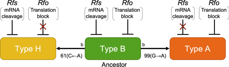 Fig. 2