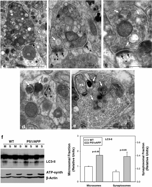 Fig. 6