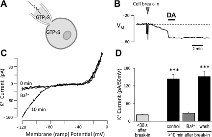 Fig. 3.