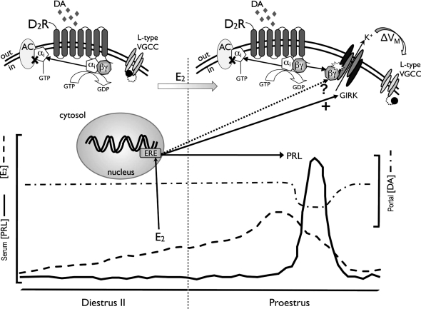 Fig. 7.