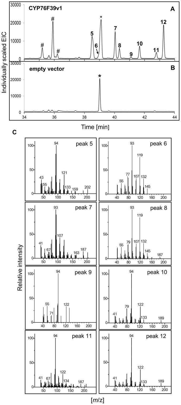 Figure 7