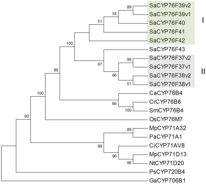 Figure 2