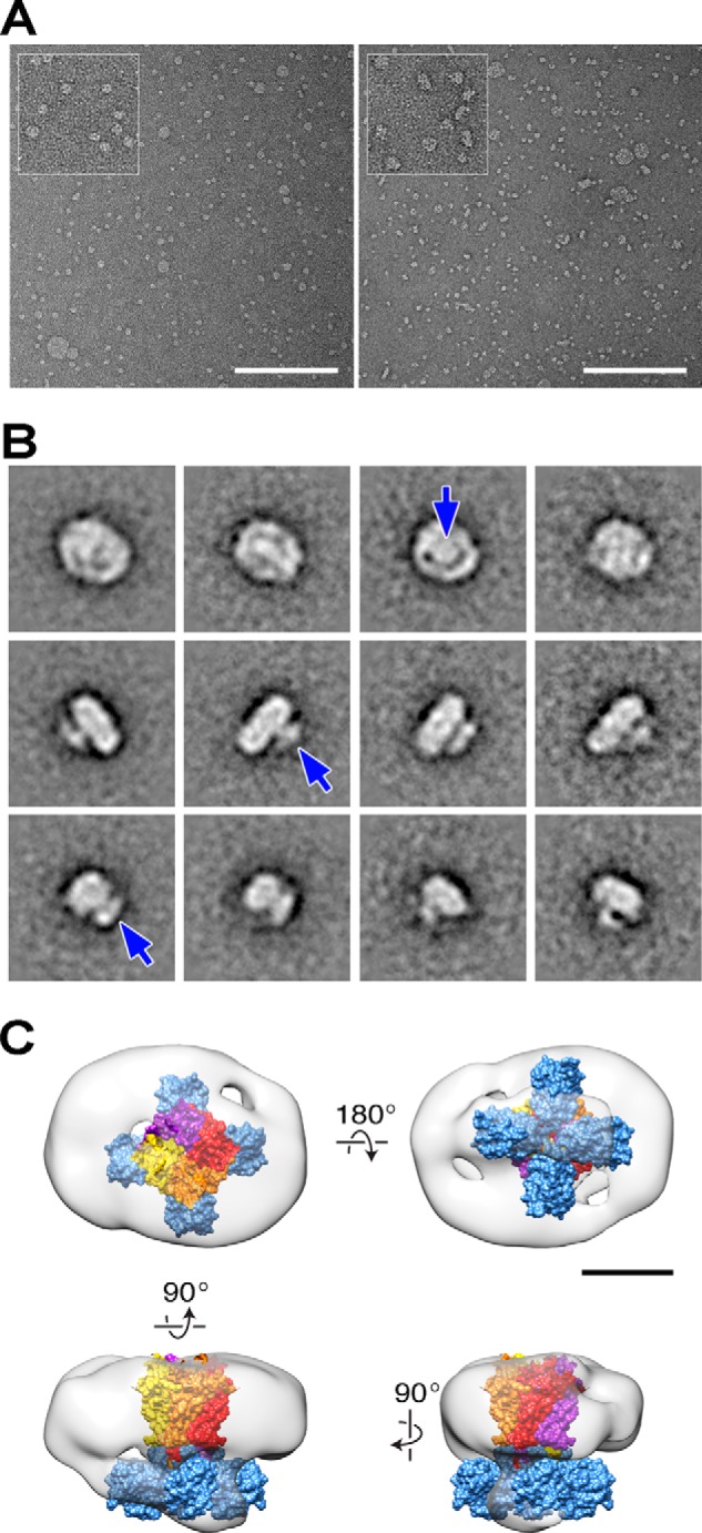 FIGURE 6.