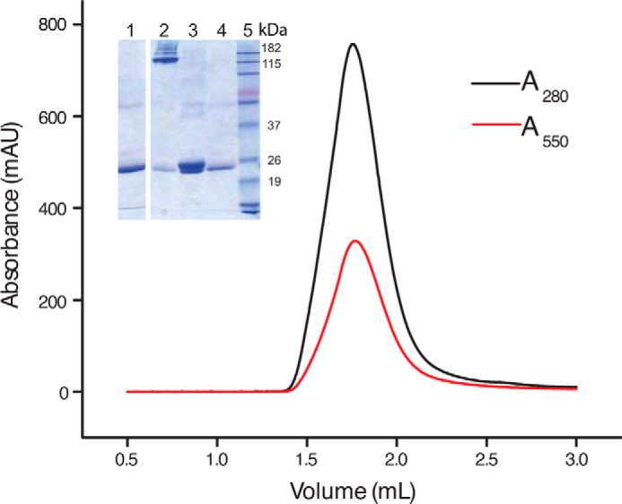 FIGURE 5.