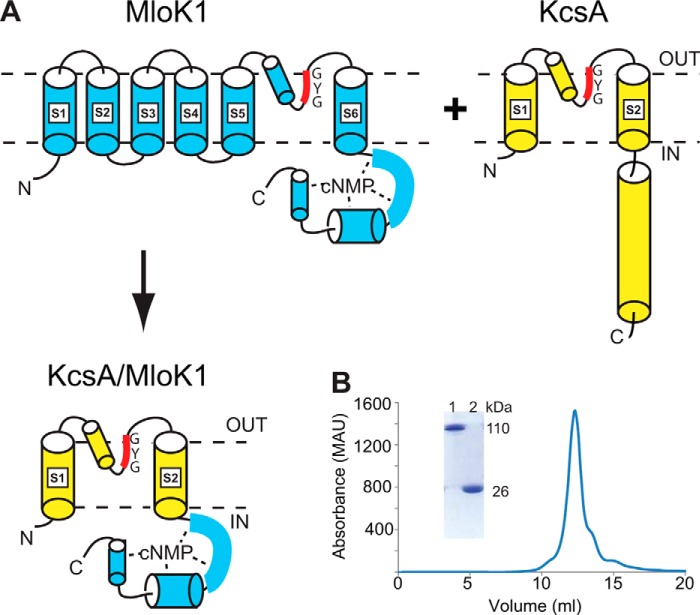 FIGURE 1.