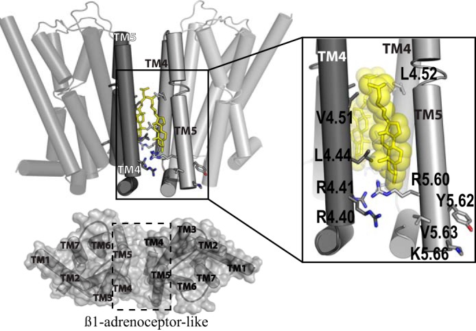 FIGURE 12.