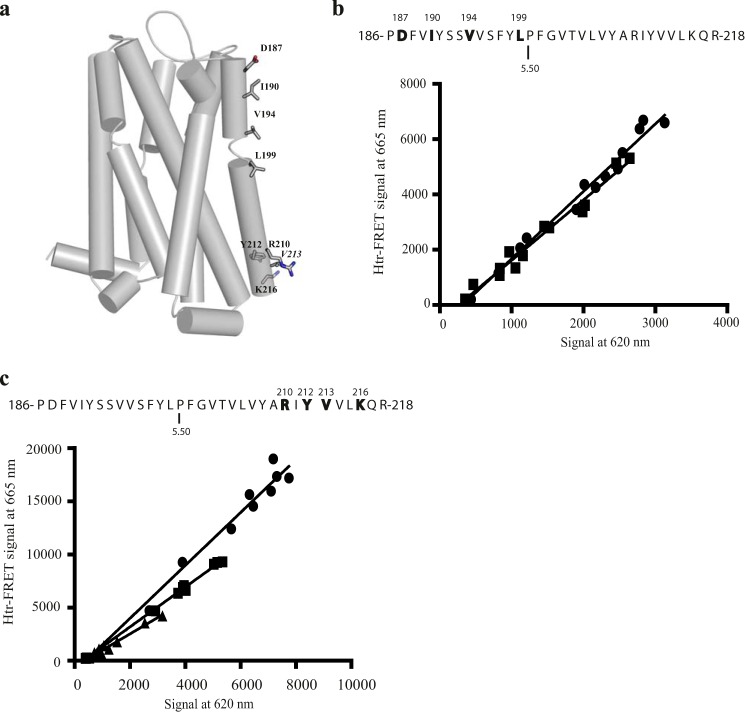 FIGURE 7.