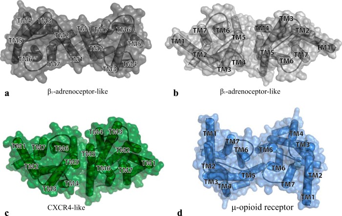 FIGURE 1.