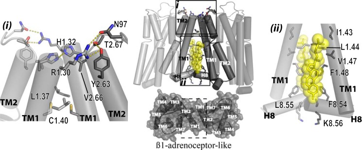 FIGURE 11.