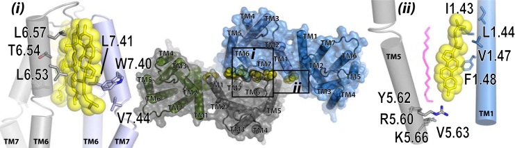 FIGURE 13.