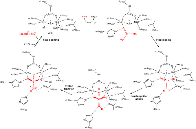 Scheme 6.