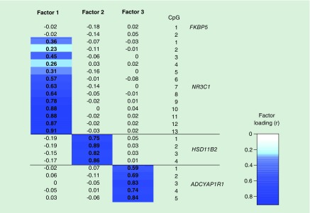 Figure 3. 