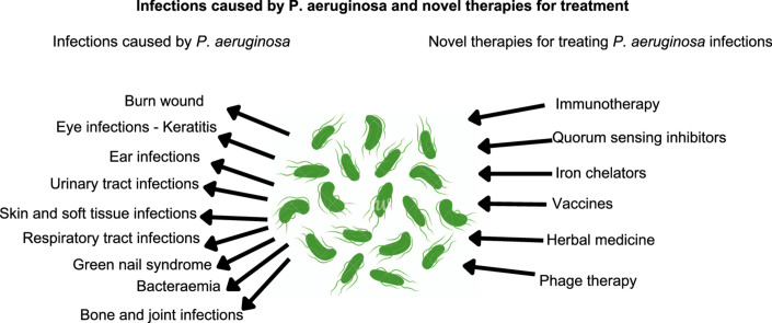 Image, graphical abstract