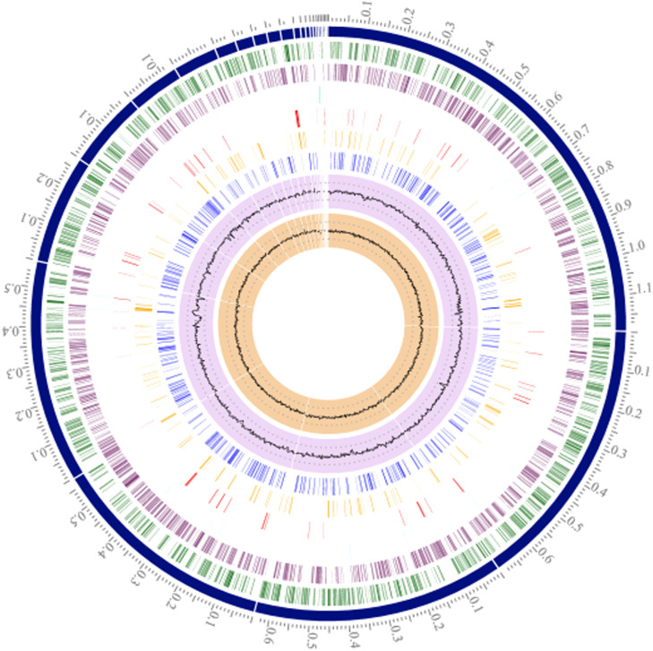 Fig 1