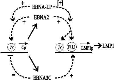 FIG. 8.