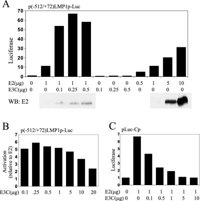 FIG. 2.